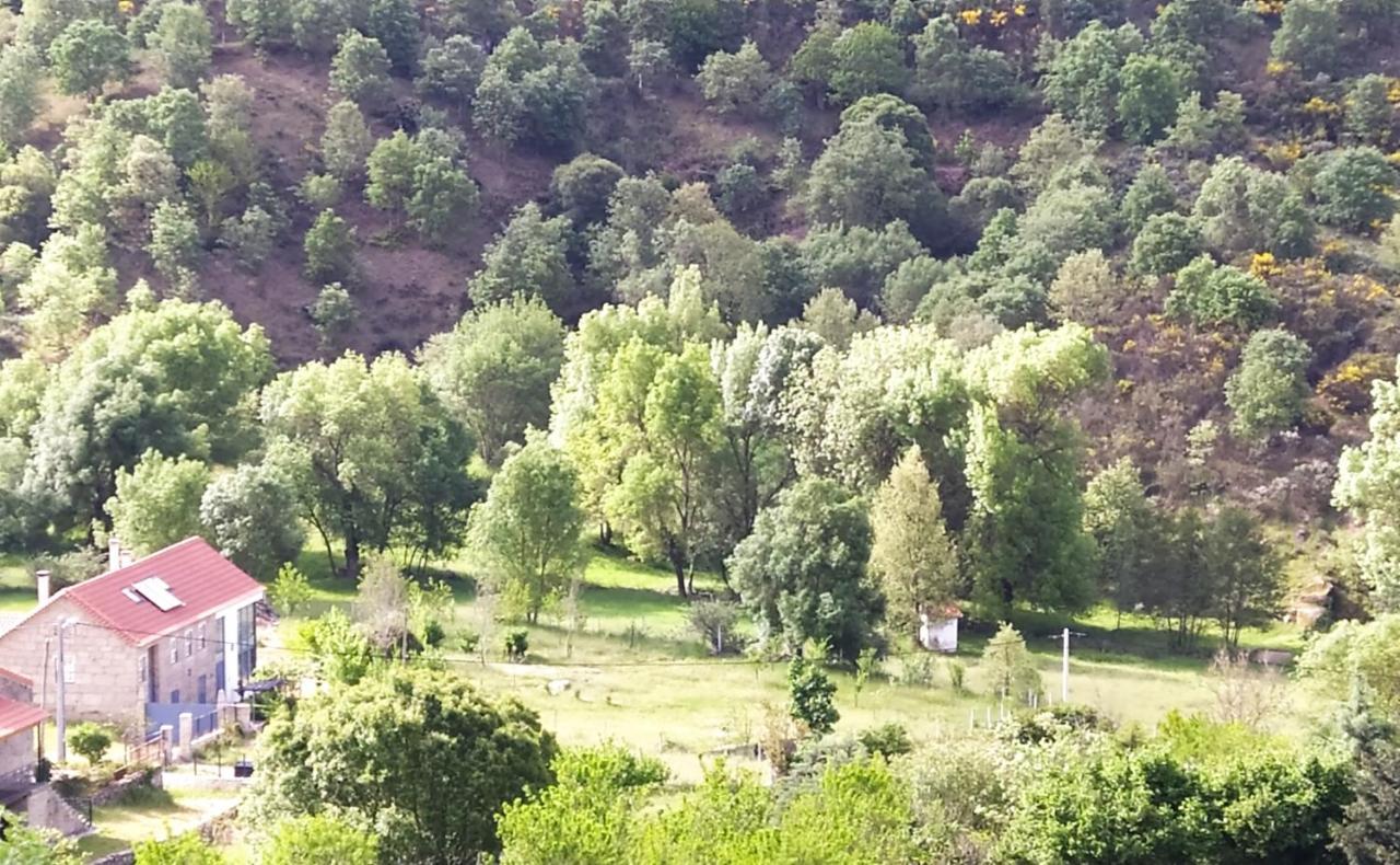 Turismo Rural Macieira Brava Guarda Exterior foto